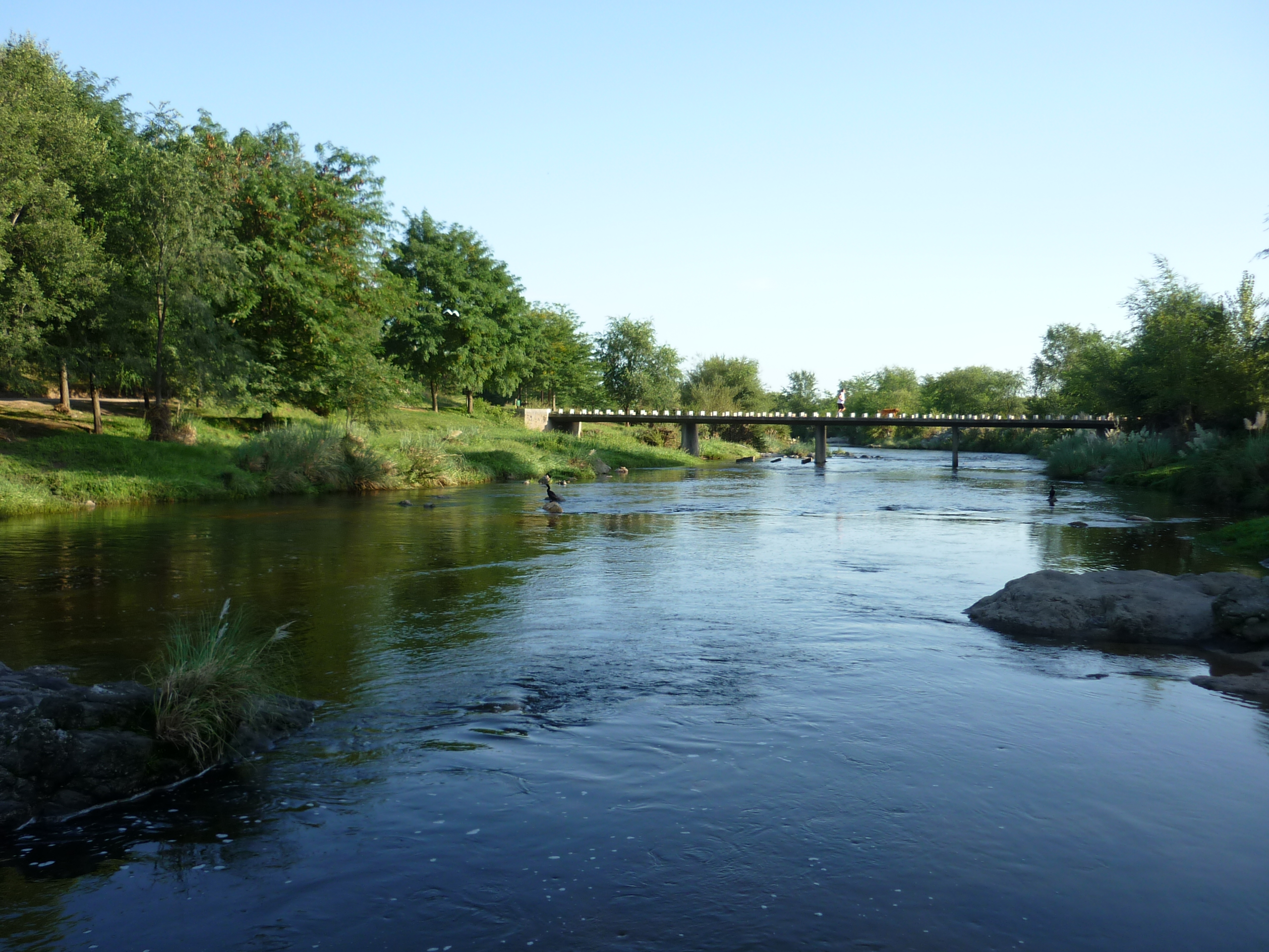 fotos/2011 - Los Reartes/P1010846.JPG